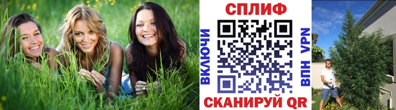 Магазин наркотиков Мезень A PVP  Конопля  МЕТАДОН  ГАШ  Cocaine  Меф 